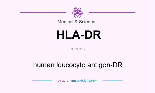 What does HLA-DR mean? It stands for human leucocyte antigen-DR