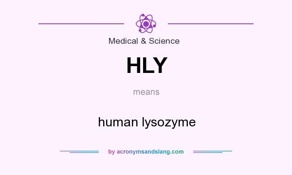 What does HLY mean? It stands for human lysozyme