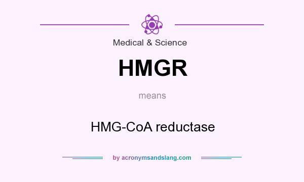 What does HMGR mean? It stands for HMG-CoA reductase
