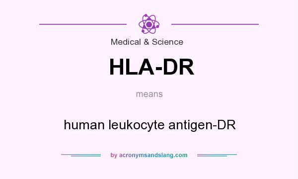 What does HLA-DR mean? It stands for human leukocyte antigen-DR