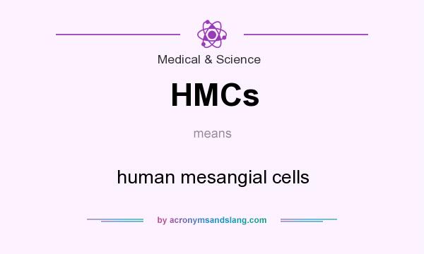 What does HMCs mean? It stands for human mesangial cells