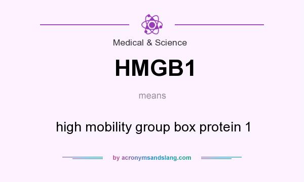 What does HMGB1 mean? It stands for high mobility group box protein 1