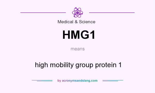 What does HMG1 mean? It stands for high mobility group protein 1