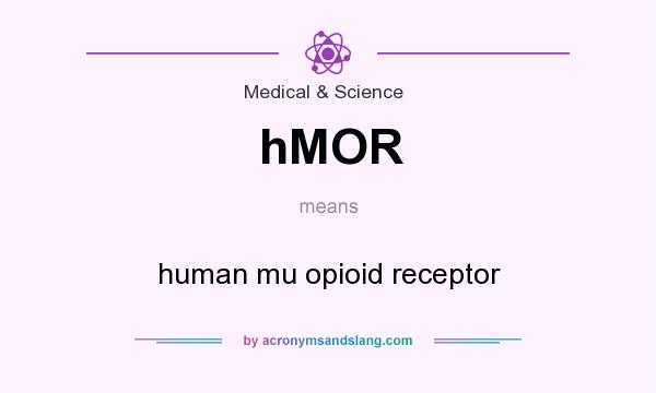 What does hMOR mean? It stands for human mu opioid receptor