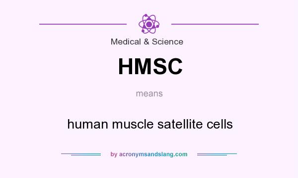 What does HMSC mean? It stands for human muscle satellite cells