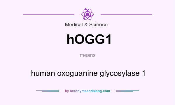 What does hOGG1 mean? It stands for human oxoguanine glycosylase 1