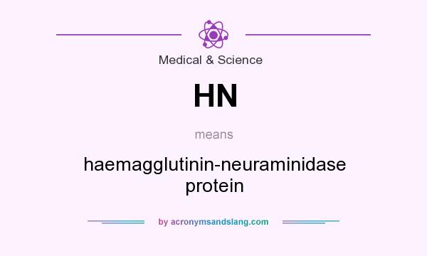 What does HN mean? It stands for haemagglutinin-neuraminidase protein