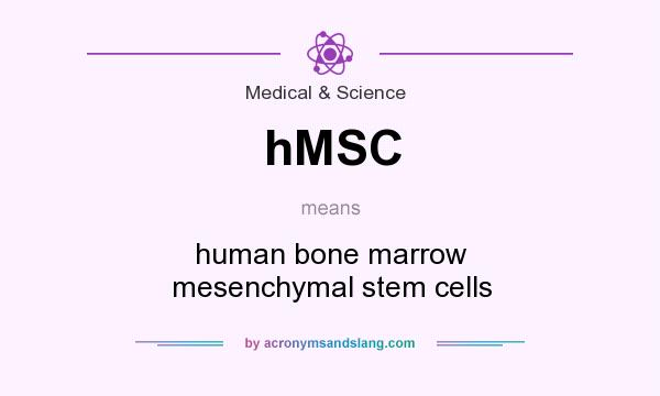 What does hMSC mean? It stands for human bone marrow mesenchymal stem cells