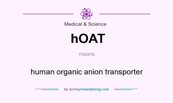 What does hOAT mean? It stands for human organic anion transporter