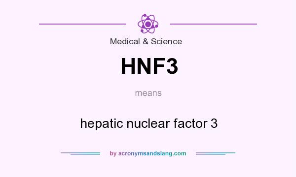 What does HNF3 mean? It stands for hepatic nuclear factor 3