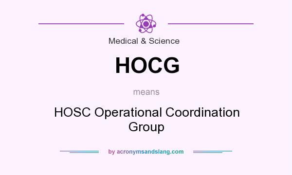 What does HOCG mean? It stands for HOSC Operational Coordination Group