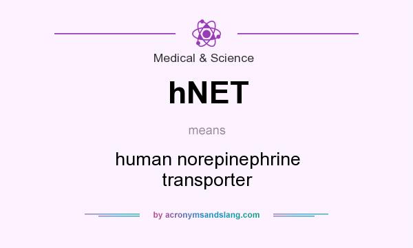 What does hNET mean? It stands for human norepinephrine transporter