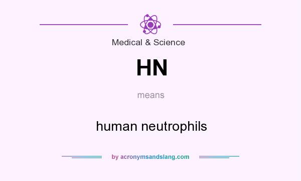 What does HN mean? It stands for human neutrophils