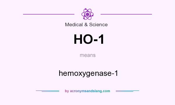 What does HO-1 mean? It stands for hemoxygenase-1
