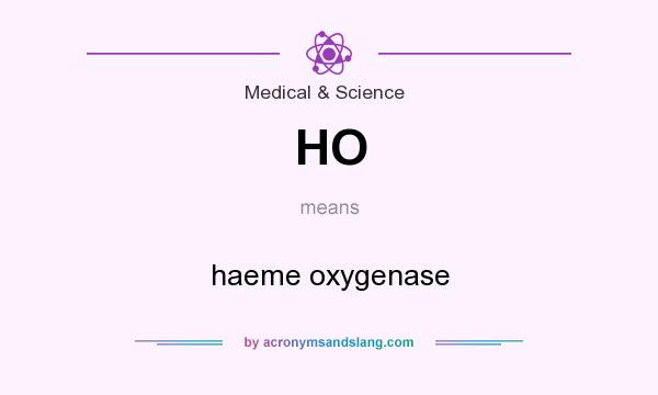 What does HO mean? It stands for haeme oxygenase
