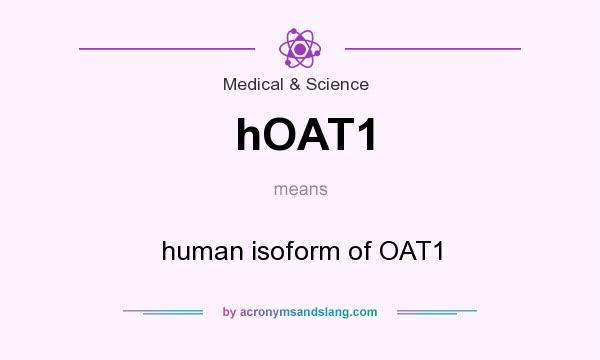 What does hOAT1 mean? It stands for human isoform of OAT1