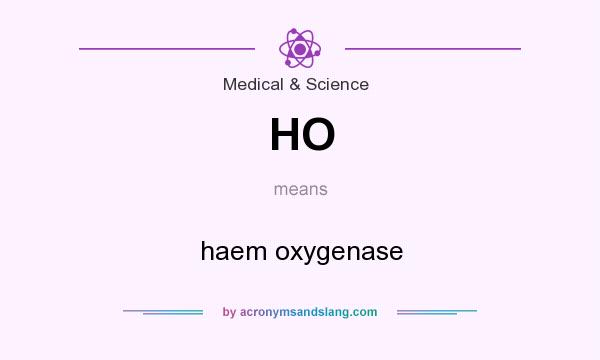 What does HO mean? It stands for haem oxygenase