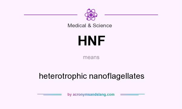 What does HNF mean? It stands for heterotrophic nanoflagellates