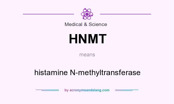 What does HNMT mean? It stands for histamine N-methyltransferase
