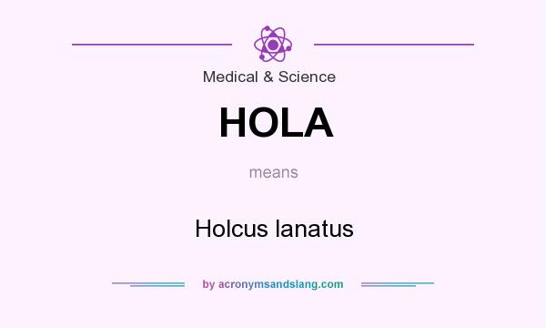 What does HOLA mean? It stands for Holcus lanatus