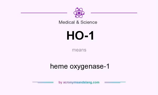 What does HO-1 mean? It stands for heme oxygenase-1