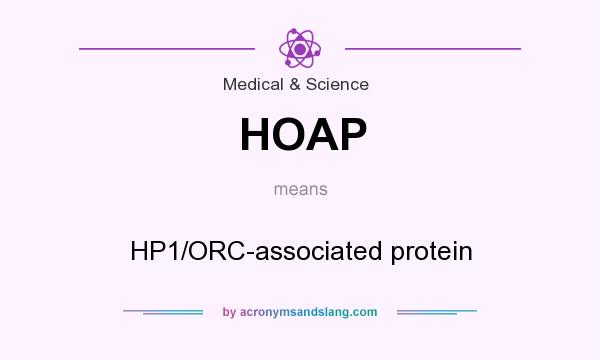 What does HOAP mean? It stands for HP1/ORC-associated protein