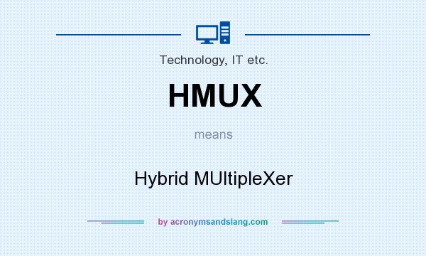 What does HMUX mean? It stands for Hybrid MUltipleXer