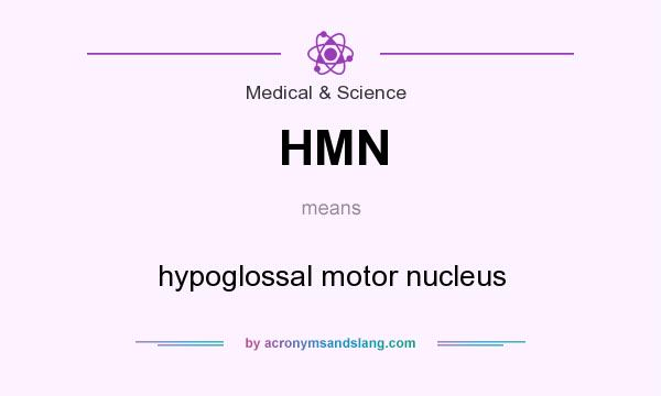 What does HMN mean? It stands for hypoglossal motor nucleus
