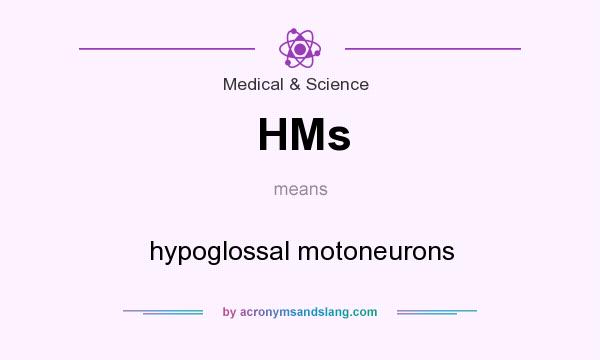 What does HMs mean? It stands for hypoglossal motoneurons