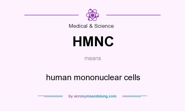 What does HMNC mean? It stands for human mononuclear cells