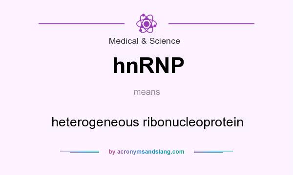 What does hnRNP mean? It stands for heterogeneous ribonucleoprotein