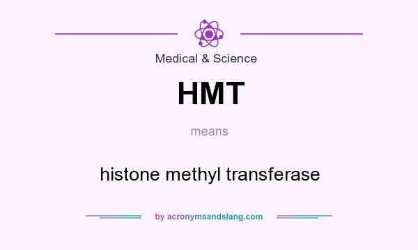 What does HMT mean? It stands for histone methyl transferase