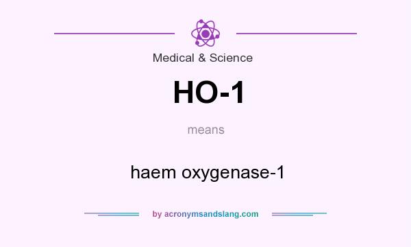 What does HO-1 mean? It stands for haem oxygenase-1