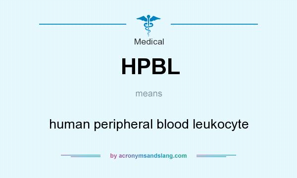 What does HPBL mean? It stands for human peripheral blood leukocyte