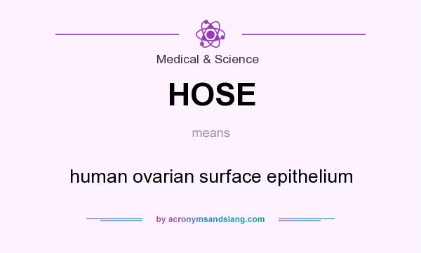 What does HOSE mean? It stands for human ovarian surface epithelium