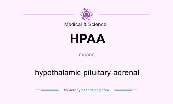 What does HPAA mean? It stands for hypothalamic-pituitary-adrenal