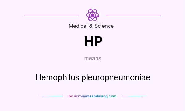 What does HP mean? It stands for Hemophilus pleuropneumoniae