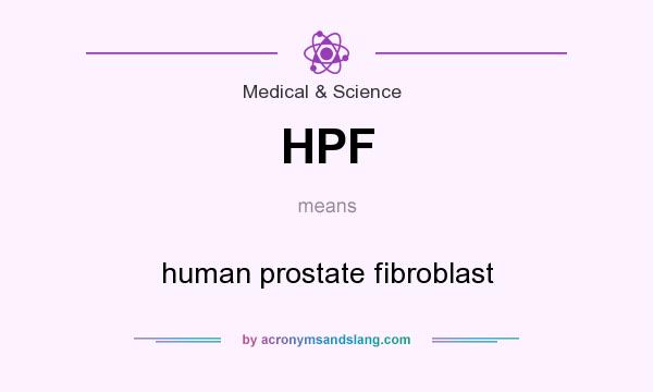 What does HPF mean? It stands for human prostate fibroblast