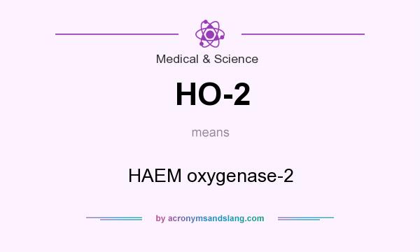 What does HO-2 mean? It stands for HAEM oxygenase-2