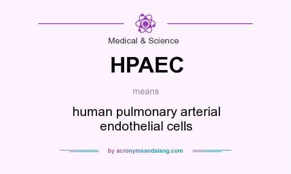What does HPAEC mean? It stands for human pulmonary arterial endothelial cells