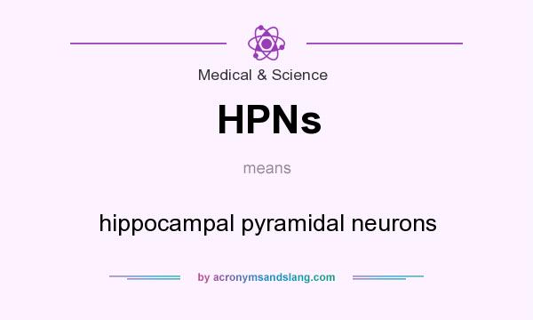 What does HPNs mean? It stands for hippocampal pyramidal neurons