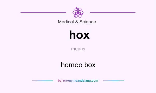 What does hox mean? It stands for homeo box