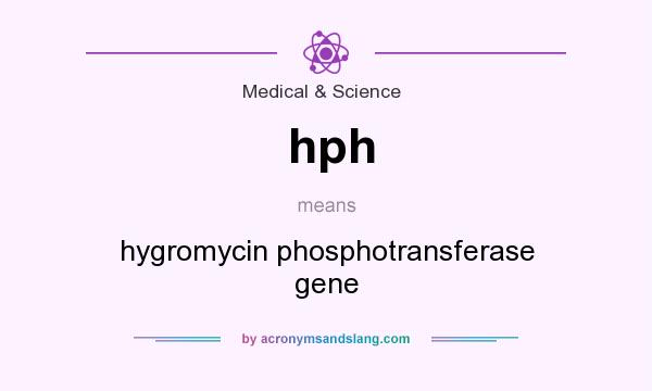 What does hph mean? It stands for hygromycin phosphotransferase gene