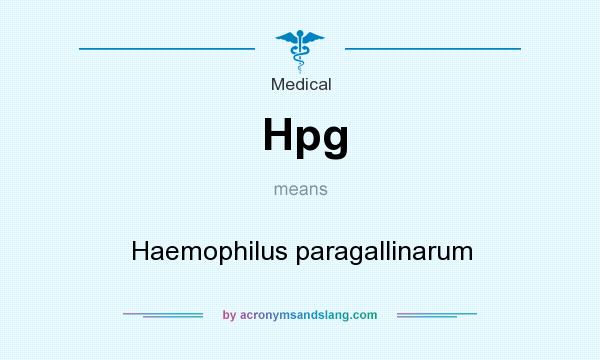 What does Hpg mean? It stands for Haemophilus paragallinarum