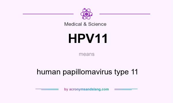 What does HPV11 mean? It stands for human papillomavirus type 11