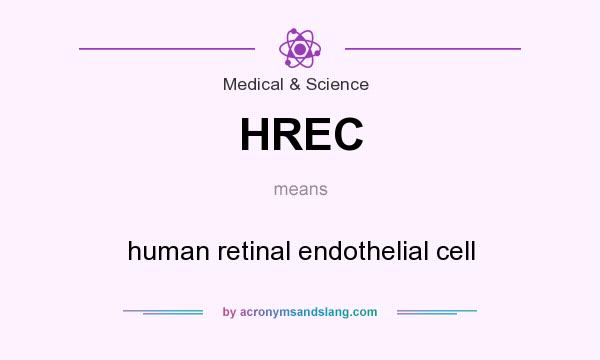 What does HREC mean? It stands for human retinal endothelial cell