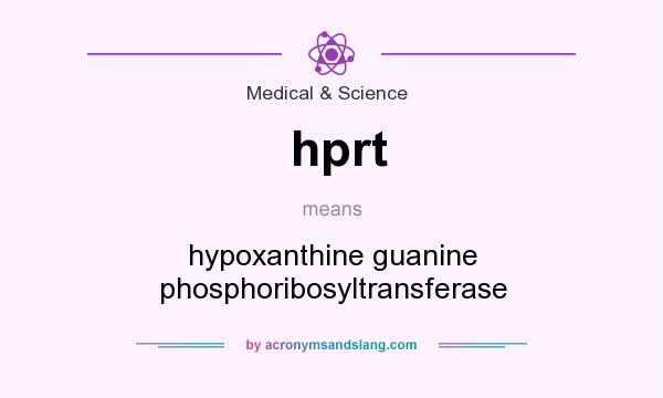 What does hprt mean? It stands for hypoxanthine guanine phosphoribosyltransferase