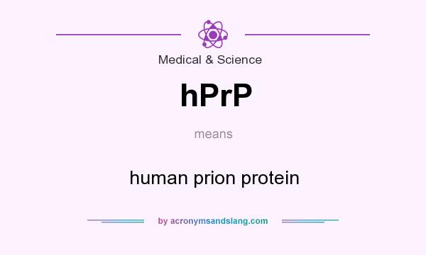 What does hPrP mean? It stands for human prion protein