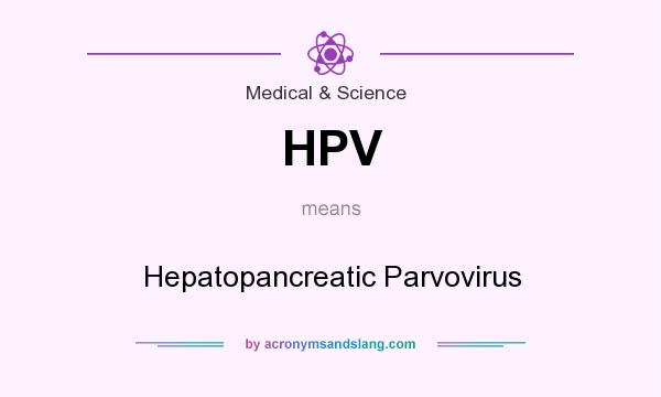 What does HPV mean? It stands for Hepatopancreatic Parvovirus