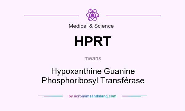 What does HPRT mean? It stands for Hypoxanthine Guanine Phosphoribosyl Transférase